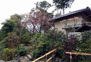 KYOTO - Temple Kinkaku-Ji et Jardins - 18.01.2024 - 21